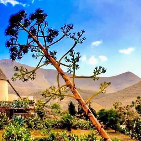 Appartement Zaratustra. Centro. Gran Terra. Wifi Rodalquilar